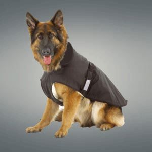 manteau pour gros chien