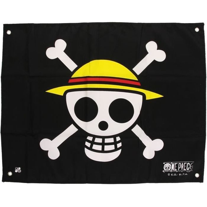 Tout Les Drapeau One Piece