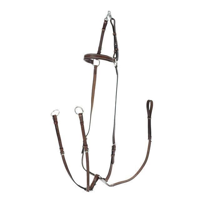 HORZE Collier de chasse réglable pour chevaux - cuir - noir