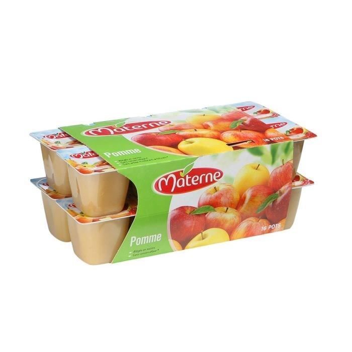 MATERNE Compote Pomme Nature 16x100g Achat / Vente dessert fruits