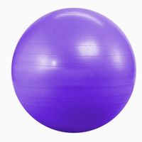 MEDECINE BALL Kabalo Violet 65cm ANTI BURST GYM exercice Yoga SW MEDECINE BALL Kabalo Violet 65cm ANTI BURST GYM exercice Yoga SW