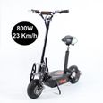 Trottinette Electrique Adulte 800W