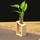 Creative hydroponique usine Vase transparent Cadre