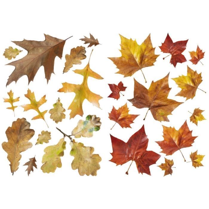 PLAGE Stickers adhésif mural Taille S - Feuilles mortes2 planches 29,7 x 21 cm, divers motifs