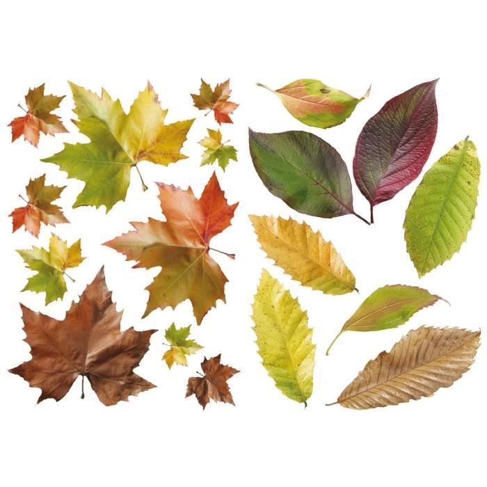 PLAGE Stickers adhésif mural Taille S - Feuilles de saison2 planches 29,7 x 21 cm, divers motifs
