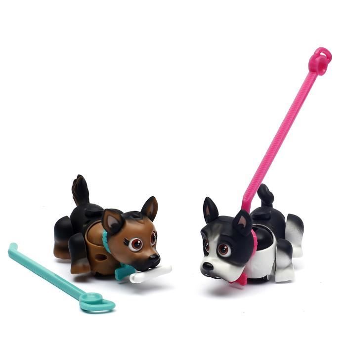 PET PARADE Pets Chiens Bouledogue & Berger Allemand