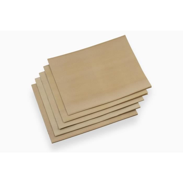 MEISTER Jeu de 20 feuilles abrasives