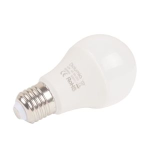ampoule led 5000k