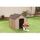 Niches Chien