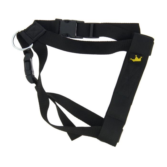 Harnais Animaux Achat Vente De Harnais Pas Cher
