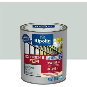 Peinture Gris Clair Achat Vente Pas Cher