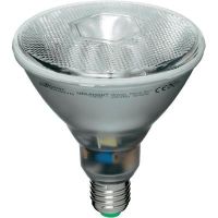 AMPOULE - LED Réflecteur MEGAMAN® PAR 38- E27 , 20W-Ampoule AMPOULE - LED Réflecteur MEGAMAN® PAR 38- E27 , 20W-Ampoule