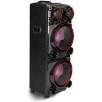CHAINE HI-FI Haut-parleur NGS WILDPUNK 2 Bluetooth SD USB 600W CHAINE HI-FI Haut-parleur NGS WILDPUNK 2 Bluetooth SD USB 600W
