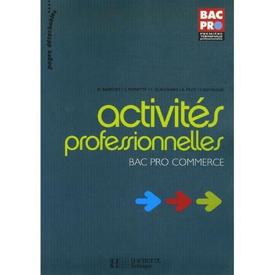 Activités Professionnelles - 