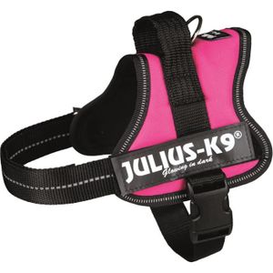 Harnais Power Julius-K9 - Mini - M : 51-67 cm-28 mm - Fuchsia - Pour chien