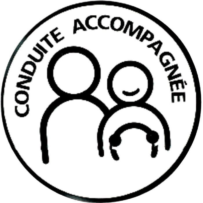 Carlinea 463264 Conduite Accompagnée (Supervised Driver) Magnetic S