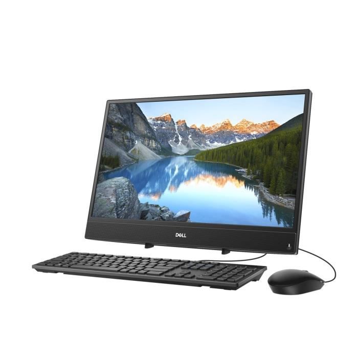 Ordinateur Tout-en-un -  Inspiron 3000 - 21,52