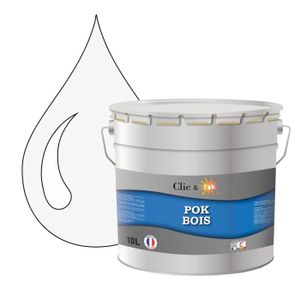 Peinture Bois Extérieur Peb45 Cecil Bidon De 5 Litres Blanc Ral 9016