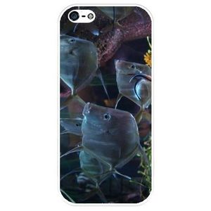coque iphone 5 silicone poisson coque iphone 5 silicone poisson