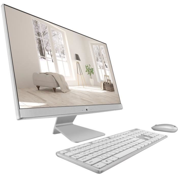 ASUS PC Tout-en-Un V241ICUK-WA035T 23,8\