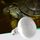 Ampoule uva uvb