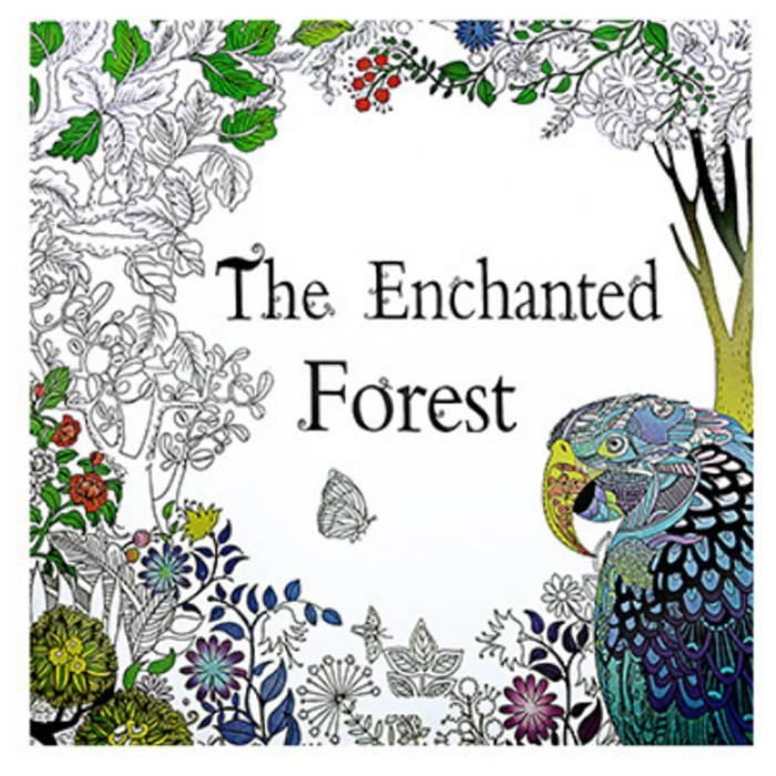 Livre Coloriage Adulte Mandala