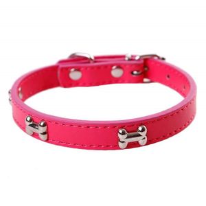 Collier Chien Moyen Achat Vente Pas Cher