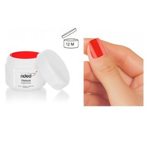 Gel Wetlook Ongle French Manucure Nded 5ml Pur Tango Rouge