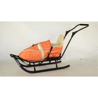 BOBSLEIGH LUGE LUXUEUSE BOIS ET METAL AVEC SA CHANCELIERE BOBSLEIGH LUGE LUXUEUSE BOIS ET METAL AVEC SA CHANCELIERE