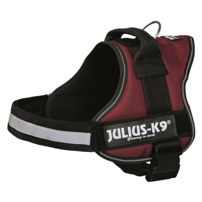 Harnais Power Julius-K9 - 1 - L : 66-85 cm-50 mm - Bordeaux - Pour chien