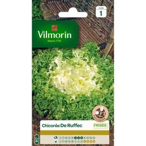 VILMORIN Chicorée frisée de Ruffec