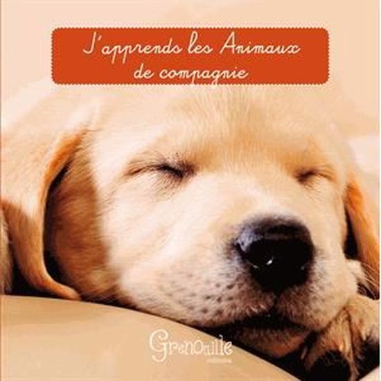 Japprends Les Animaux De Compagnie