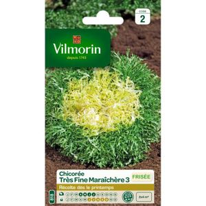VILMORIN Chicorée frisée tr?s fine maraich?re 3