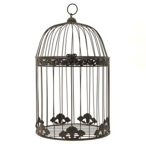Chine Usine De Haute Qualité Dalimentation Grande Cage D