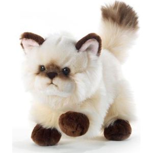 Sonnerie gratuite pour samsung chat 335