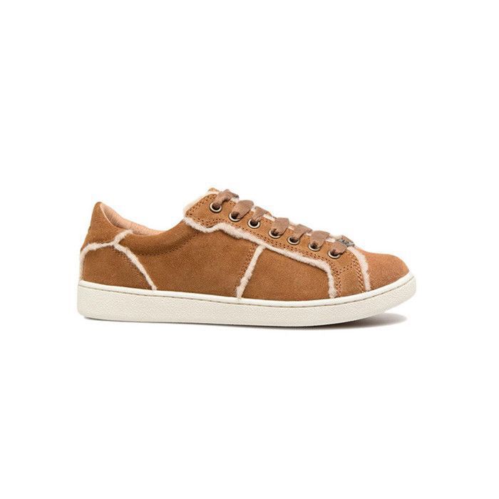 basket ugg basket ugg