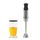 Mixeur plongeant 1000w