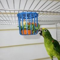 GAMELLE - ÉCUELLE perroquet à cage oiseau 1cp relève de fruits et lé GAMELLE - ÉCUELLE perroquet à cage oiseau 1cp relève de fruits et lé