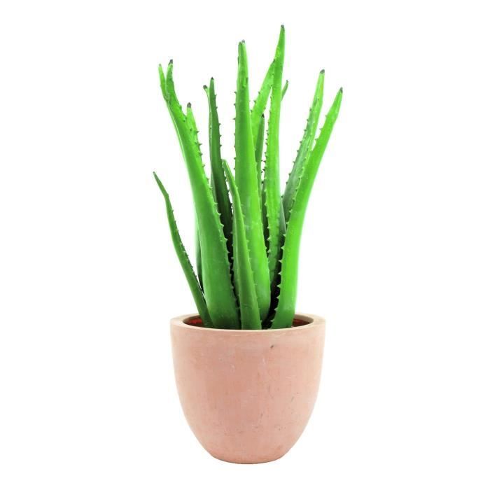 Aloe vera plante 63cm - Achat / Vente fleur artificielle ...