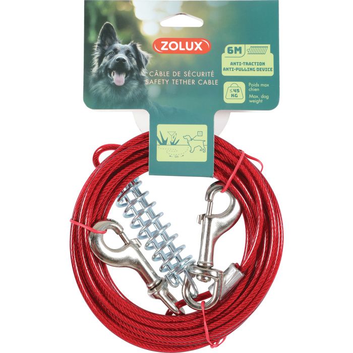 ZOLUX Cable dattache avec ressort 6 m Pour chien