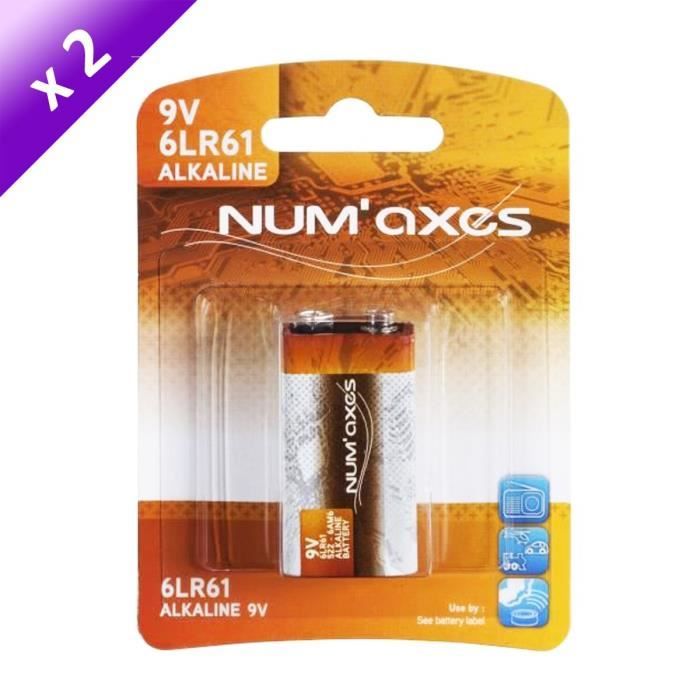 Blister Lot de 2 piles 6LR61 alcalines 9V