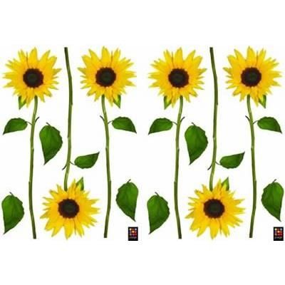 PLAGE Stickers adhesif mural Taille S Tournesols 22 planches 297 x 21 cm divers motifs