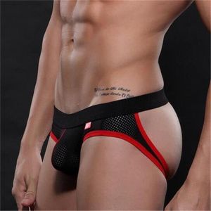 free g string pics gay gay dads and gay