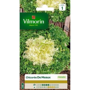 VILMORIN Chicorée frisée De Meaux