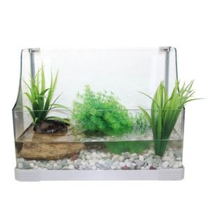 Kit Complet Terrarium Naturel Pour Tortue De Terre