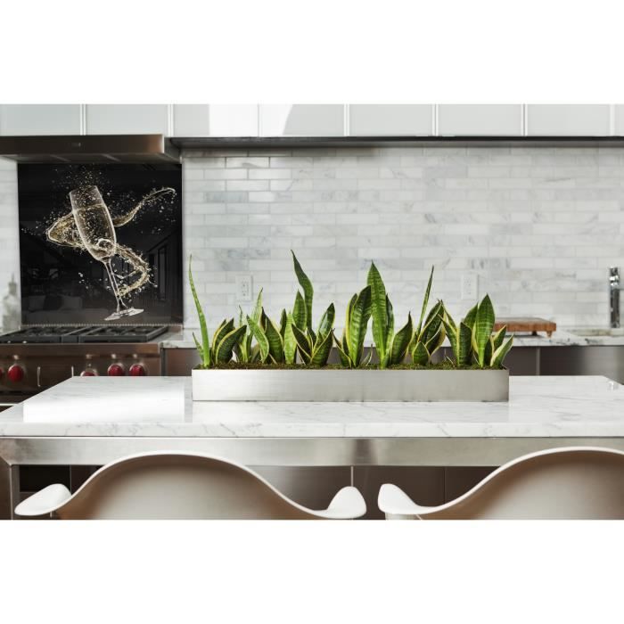 Fond de hotte "Verre de champagne" en2