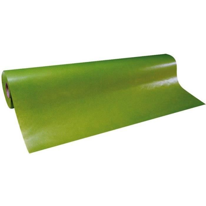 Papier cadeau rouleau kraft 0.70x100m vert pomme