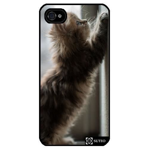 coque iphone 4 chaton coque iphone 4 chaton
