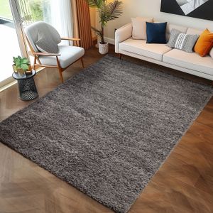 Cuisine Maison Carpeto Rugs Tapis Salon Moderne Gris 250 X