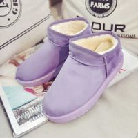 BOTTE Bottes violetes veloutées de longueur basse pou... BOTTE Bottes violetes veloutées de longueur basse pou...